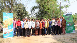 Enhancing Rice Value Chains in Cambodia through Public-Private Synergy