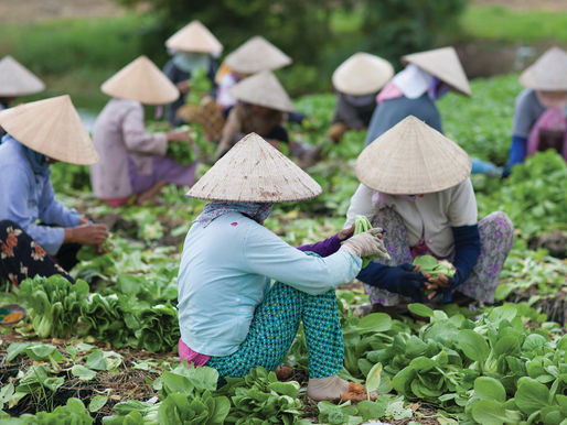Asia-Pacific Farmers’ Forum