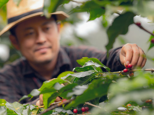 Philanthropy: The 4th P in public-private partnerships for financing food security & climate action