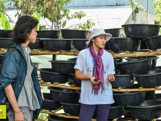 Earthworms encourage sustainable farming in Kampong Chhnang