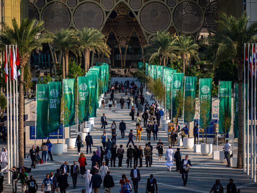 2024: Time to Consolidate, Focus, and Scale